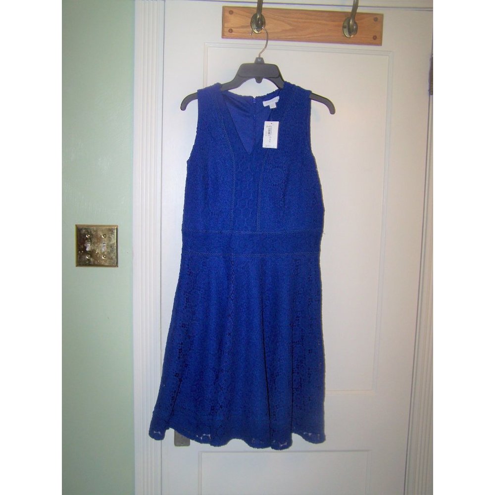 Charter Club Dress Blue Crochet NWT M Flare